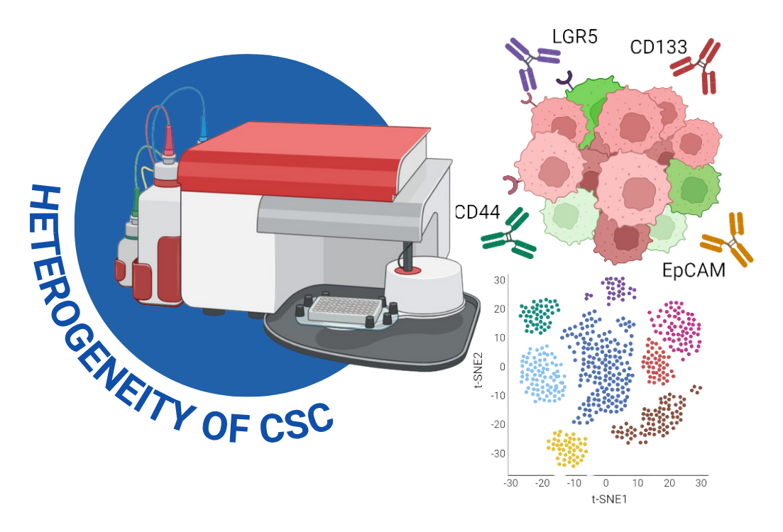Schematic Diagram of Flow Cytometric Analysis