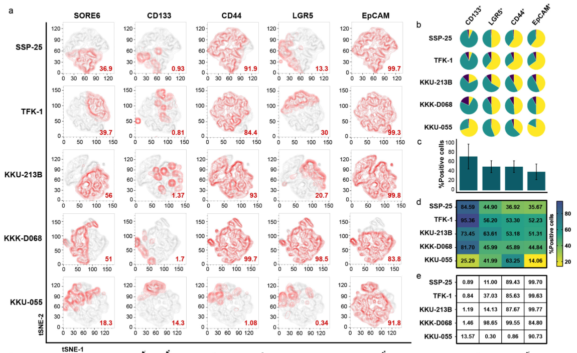 Expression of single CSC-related surface markers on SORE6 cell subsets