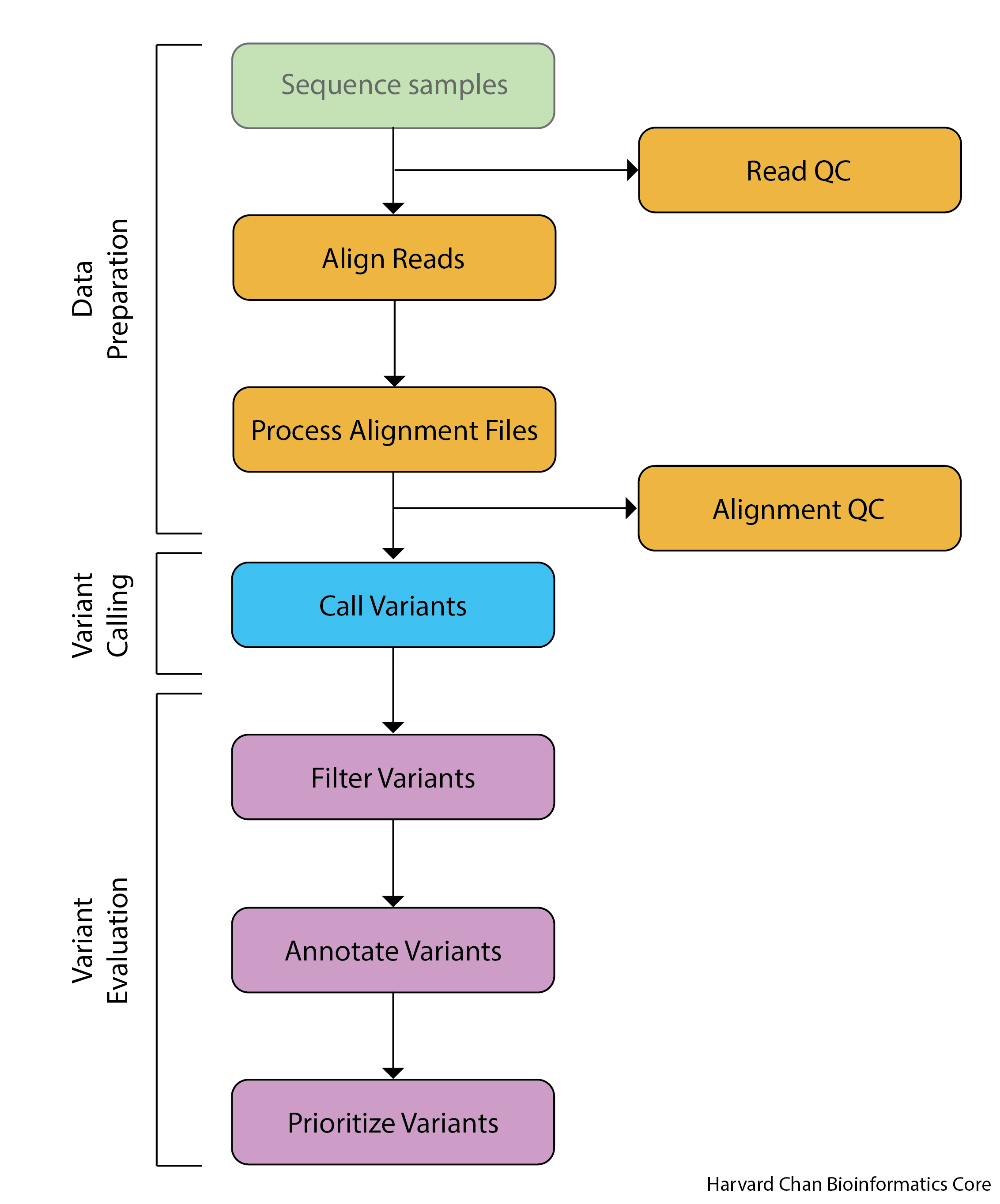 Types of variant
